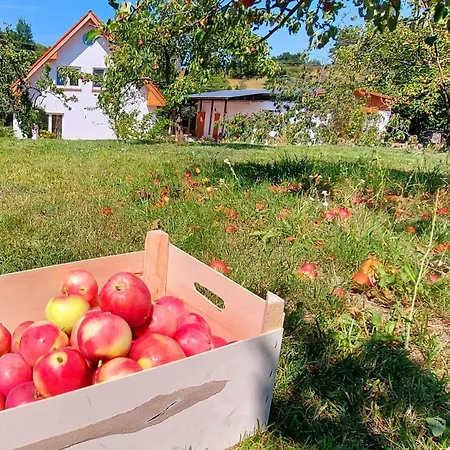 Dobre Miejsce 別荘 ミエンジズドロイェ
