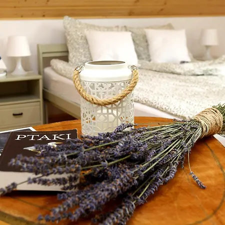 Dobre Miejsce 別荘 ミエンジズドロイェ