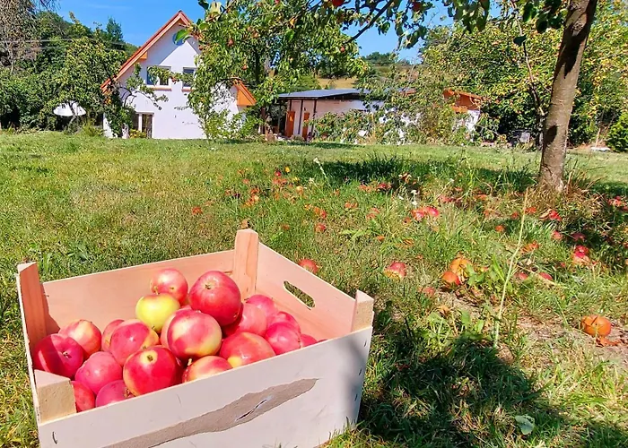 Dobre Miejsce Dom wakacyjny Międzyzdroje